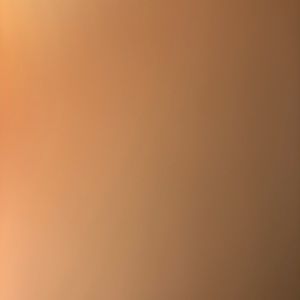 Meet your Posher, Fardosa